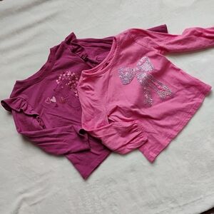 Lot Of 2 Long Sleeve Tees | Hedgehog Hearts Sequin Bow Pink Purple | 2T